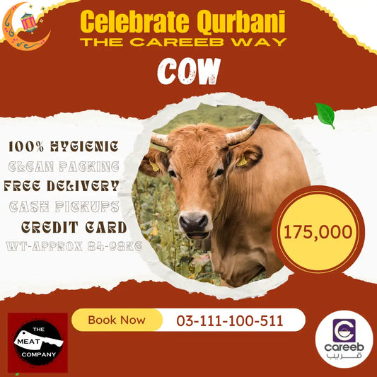 Cow Qurbani