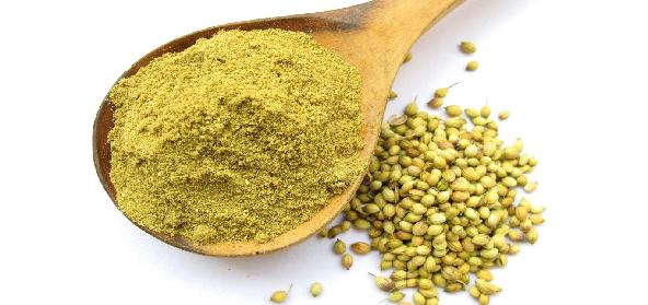 Coriander Powder 100g - دھنیا پاؤ ڈر