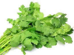 Coriander Leaves Bunch - دھنیا