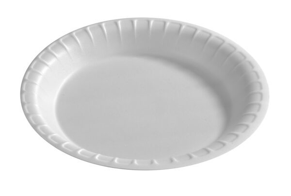 Disposable Plate 100Pcs