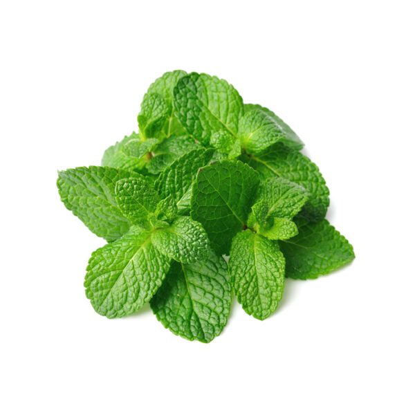 Mint Leaves Bunch - پودینہ