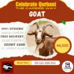 Goat Qurbani
